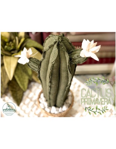 Kit ¨Cactus Primavera¨ - La Retalera