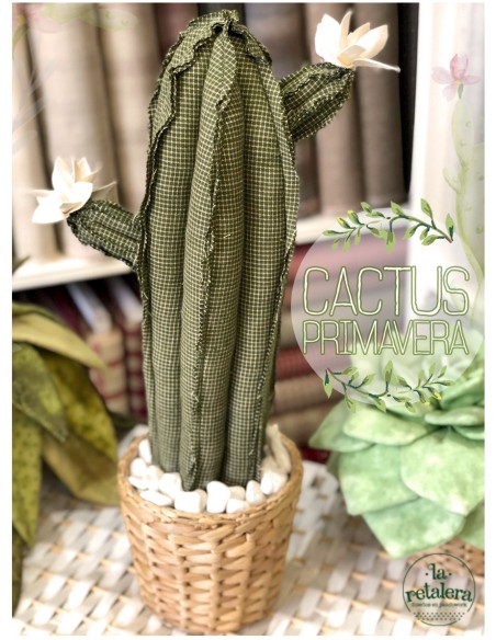 Kit ¨Cactus Primavera¨ - La Retalera